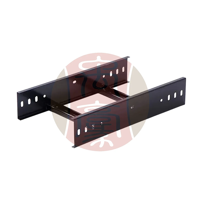 XQJ-T-01 梯式橋架300x100-1