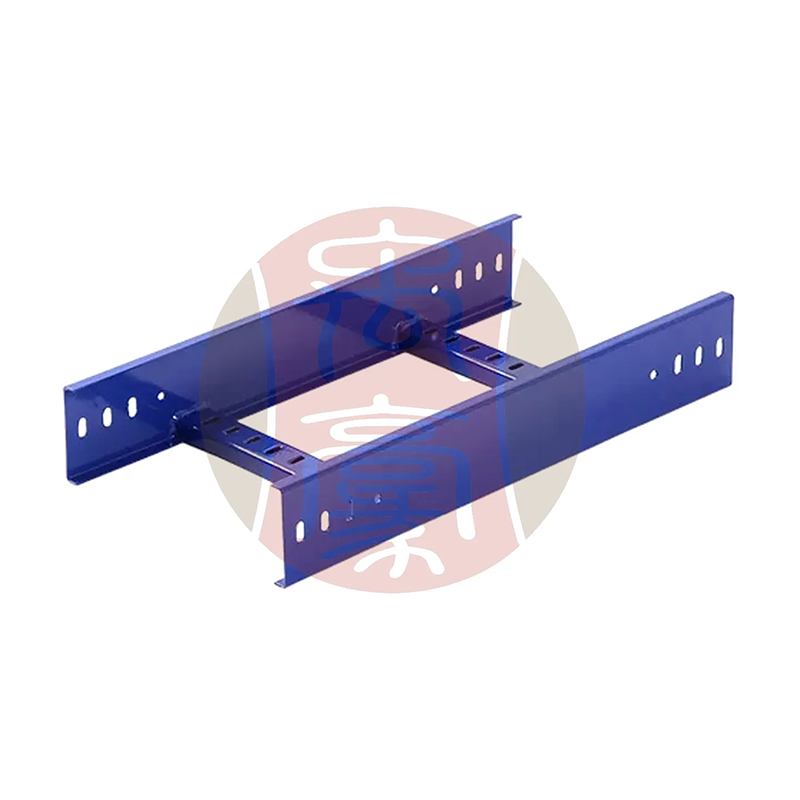 XQJ-T-01 梯式橋架300x100